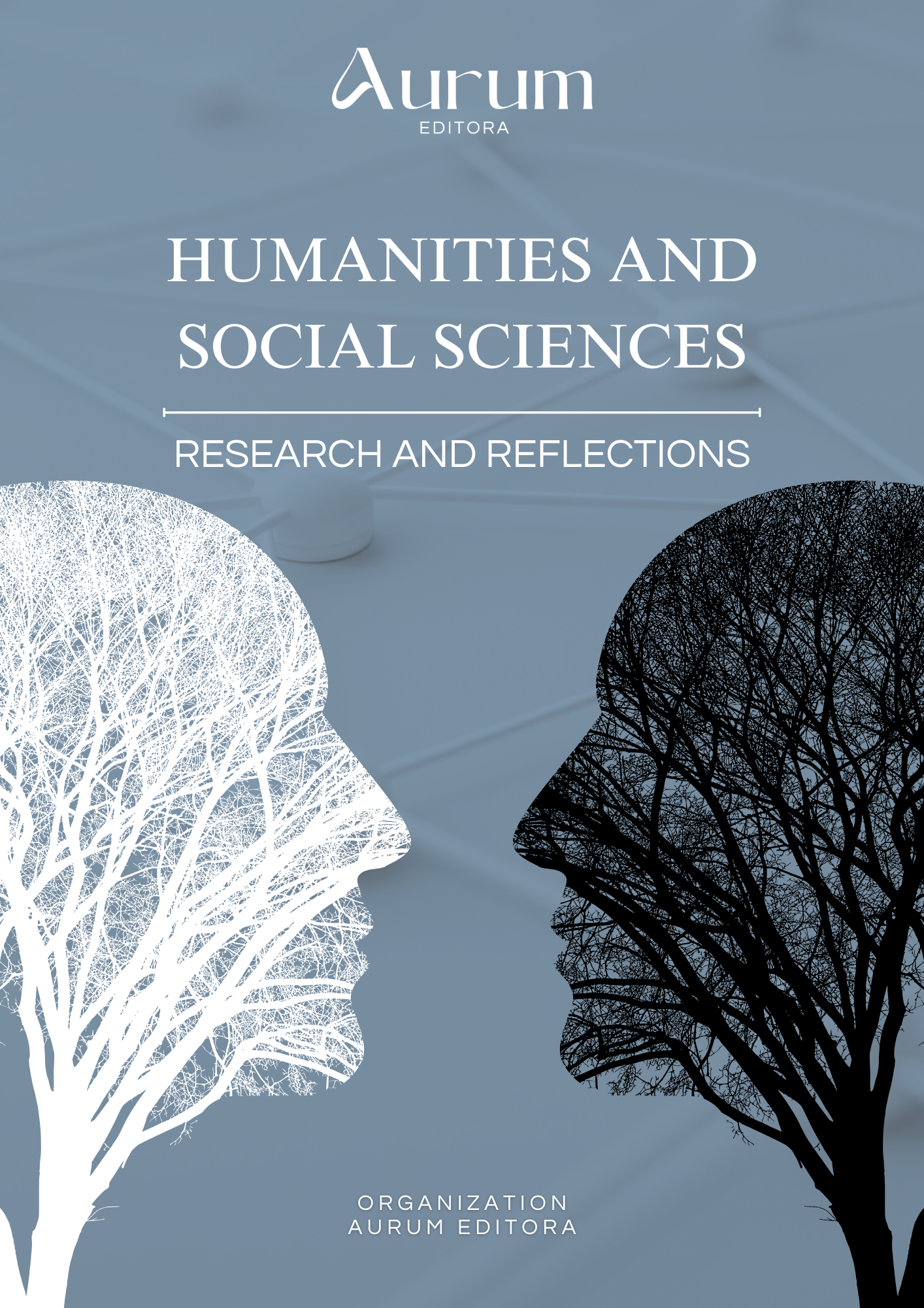 Humanities and Social Sciences: Research and Reflections